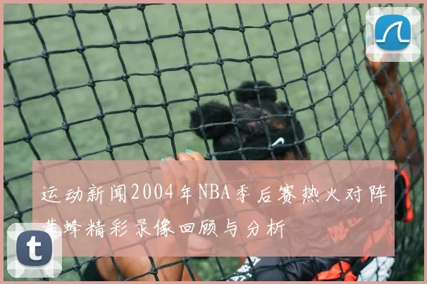 运动新闻2004年NBA季后赛热火对阵黄蜂精彩录像回顾与分析